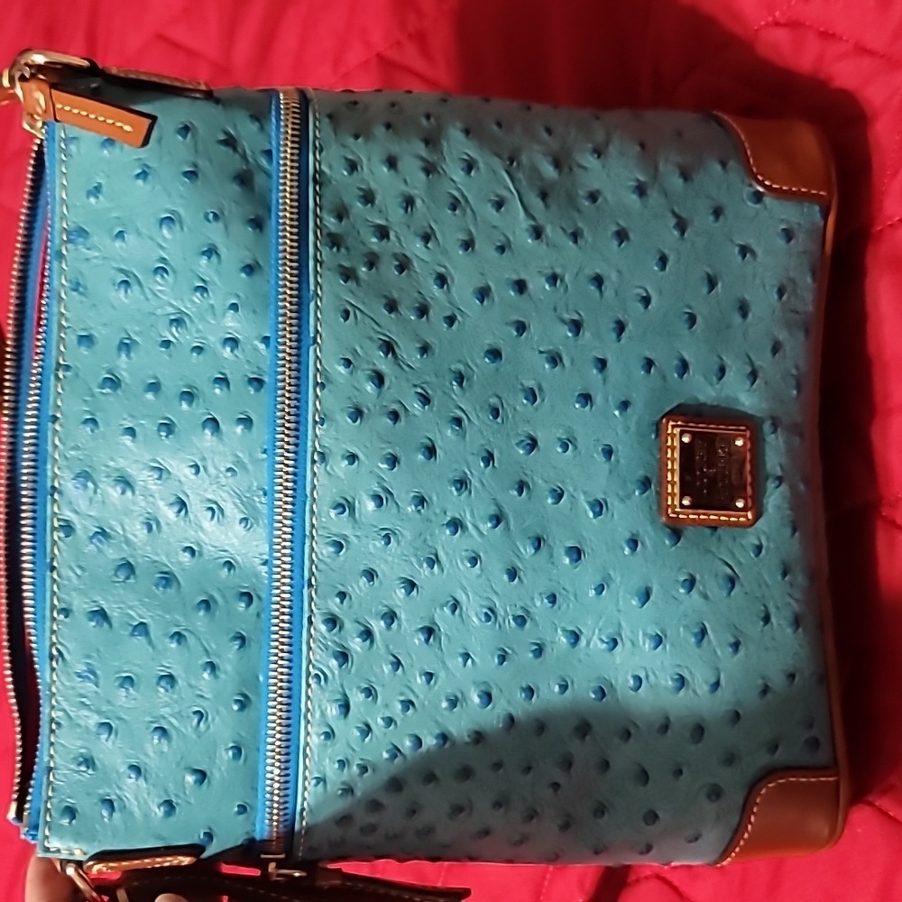 Dooney and Bourke crossbody purse